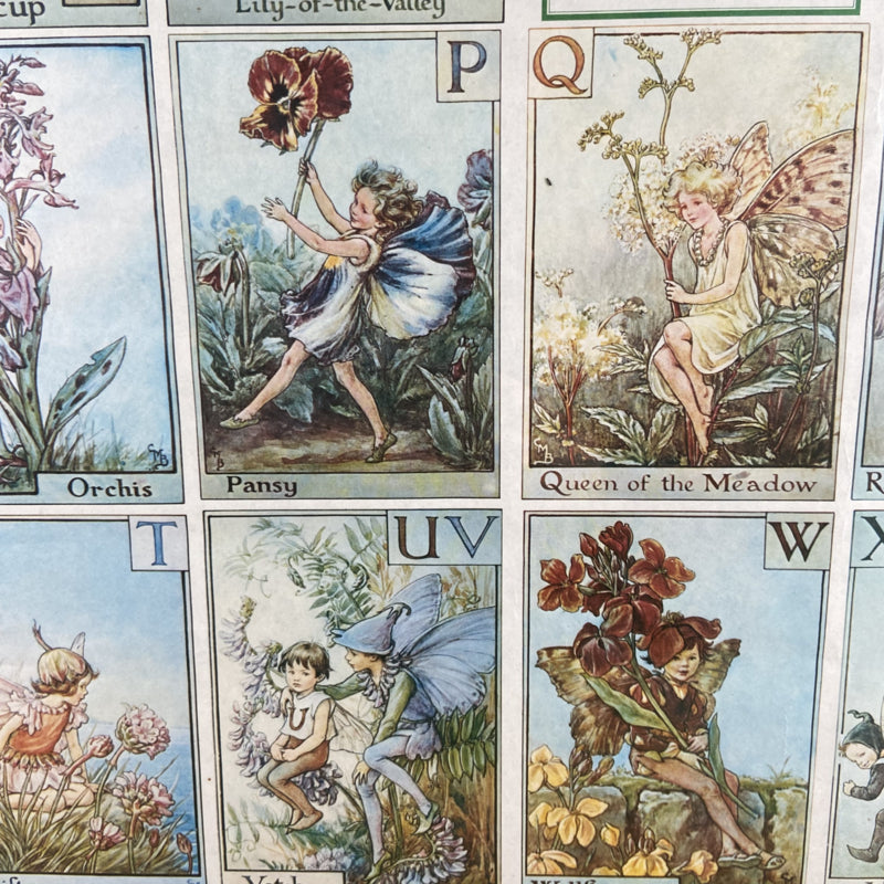 Lijst met A Flower Fairy Alphabet