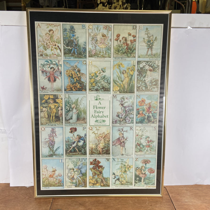 Lijst met A Flower Fairy Alphabet