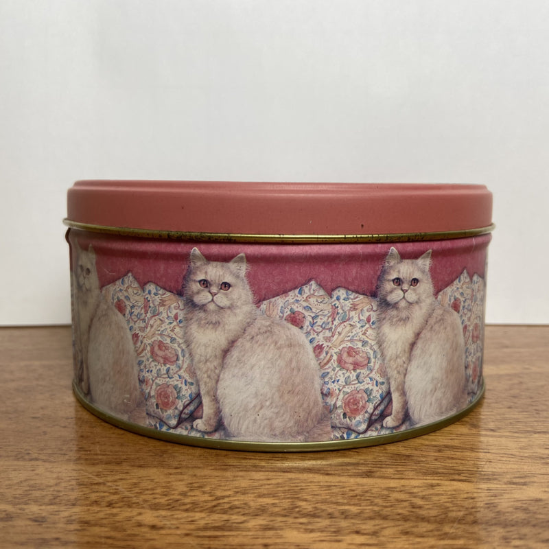 Snoezig katten blik