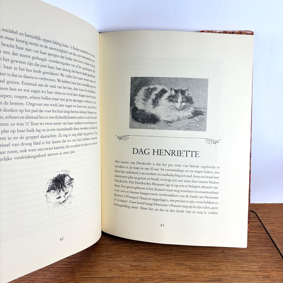 Vintage boek Twee vrouwen over Katten Stellweg & Ronner