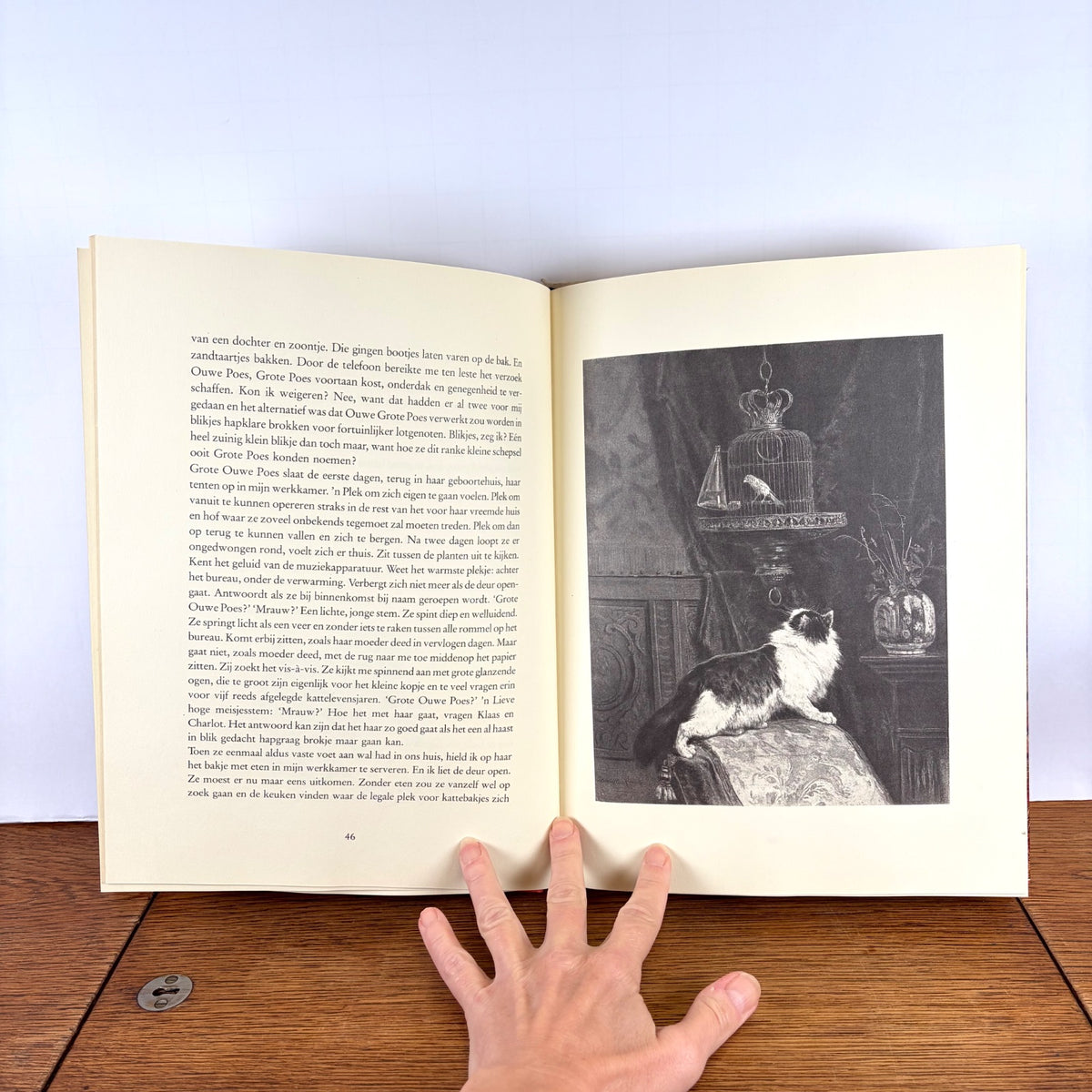 Vintage boek Twee vrouwen over Katten Stellweg & Ronner