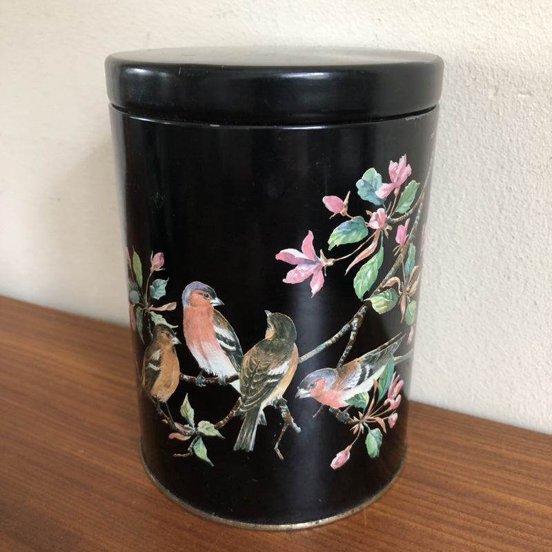 Vintage Vogel blikken