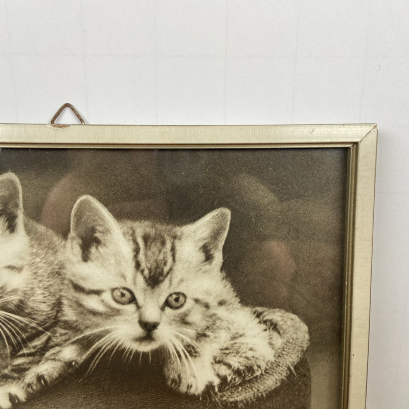 Vintage schilderijtje kat