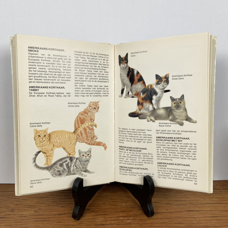 Katten boek Topgidsen