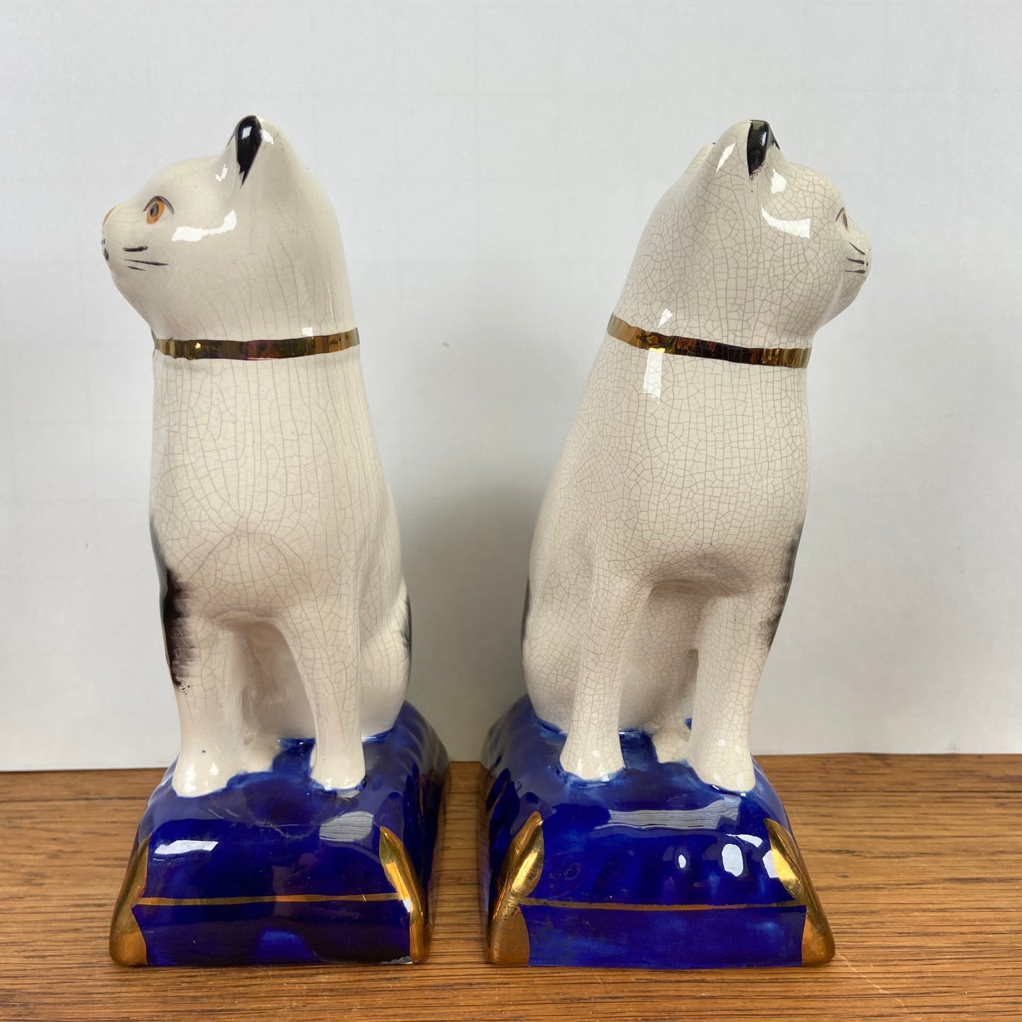 Staffordshire katten