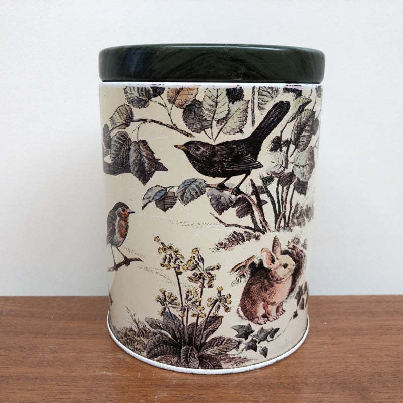 Blik - vogels