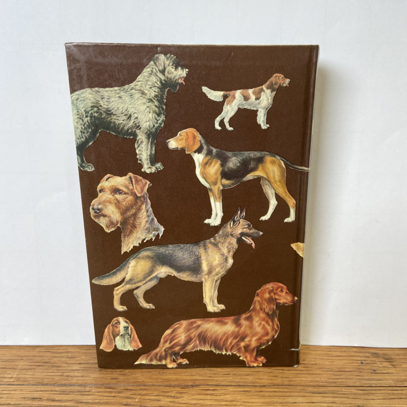 Honden in kleur