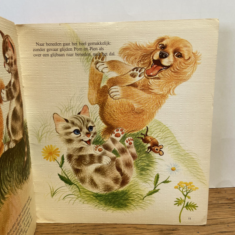 Prentenboek Pom en Pien