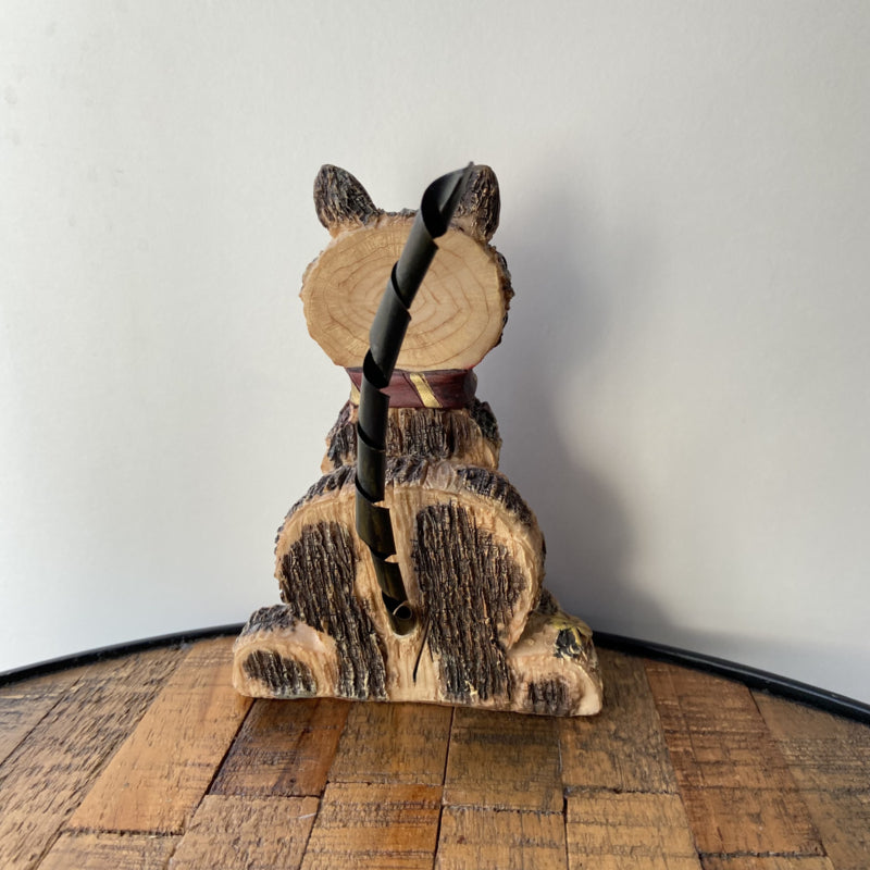 Bijzondere poes