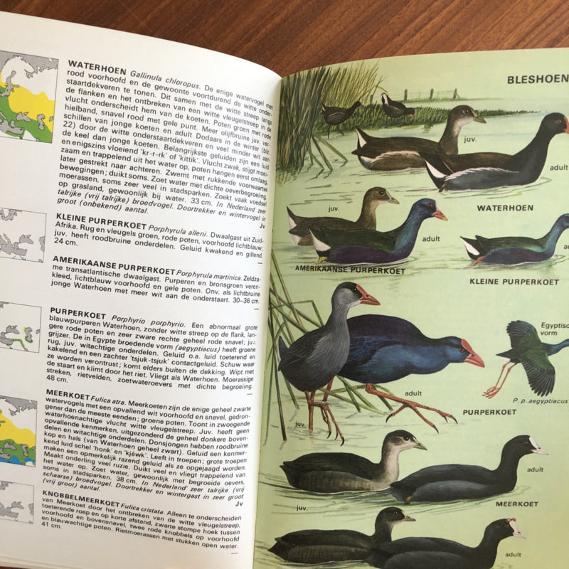 Elseviers gids van de Europese vogels