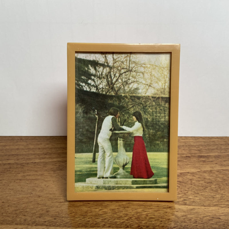 Vintage oranje fotolijstje