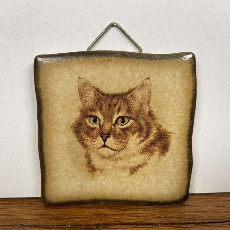 vintage tegeltje kat