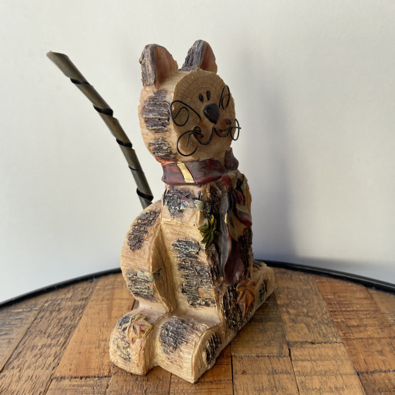 Bijzondere poes