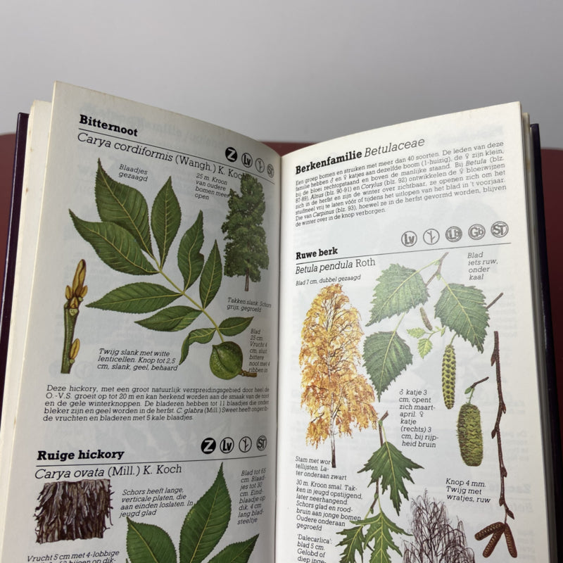 Bomen zakgids