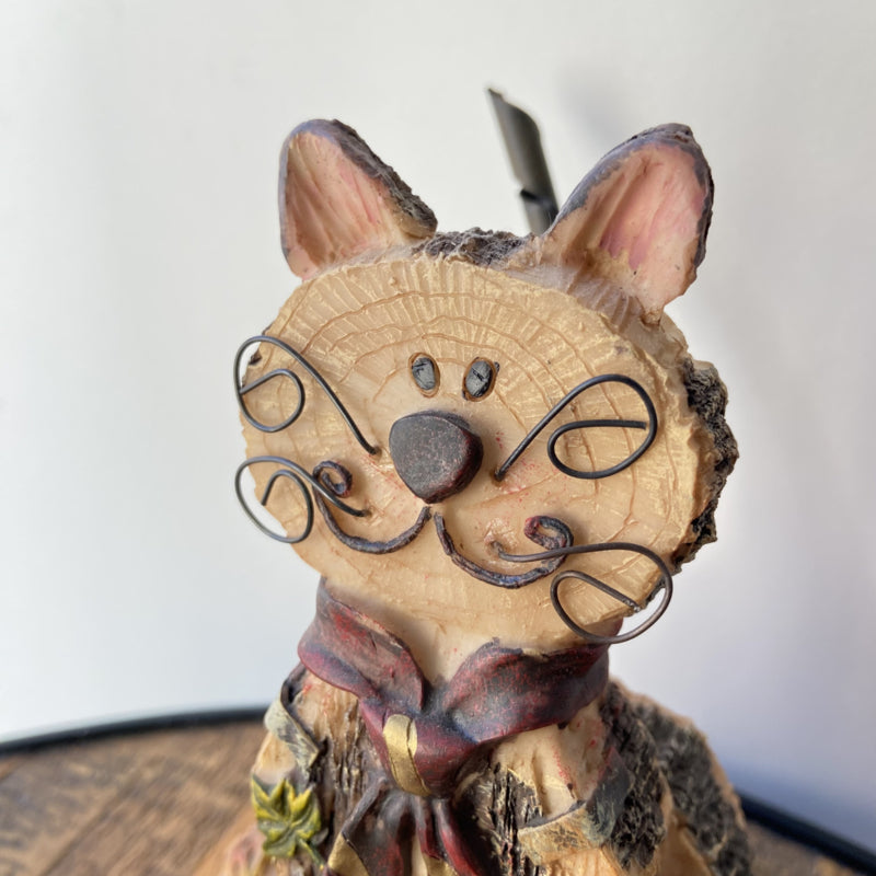 Bijzondere poes