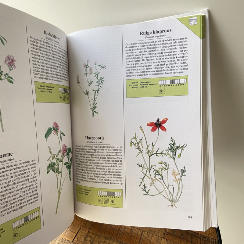 Het boek in kleur over wilde bloemen