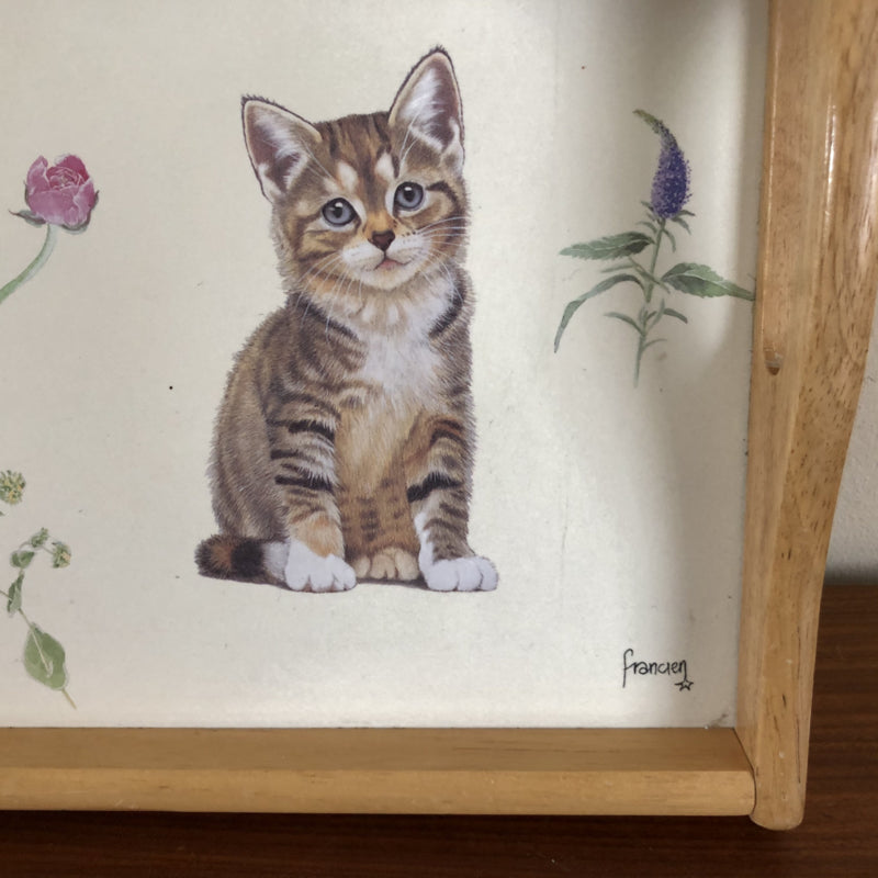 Dienblad Franciens katten