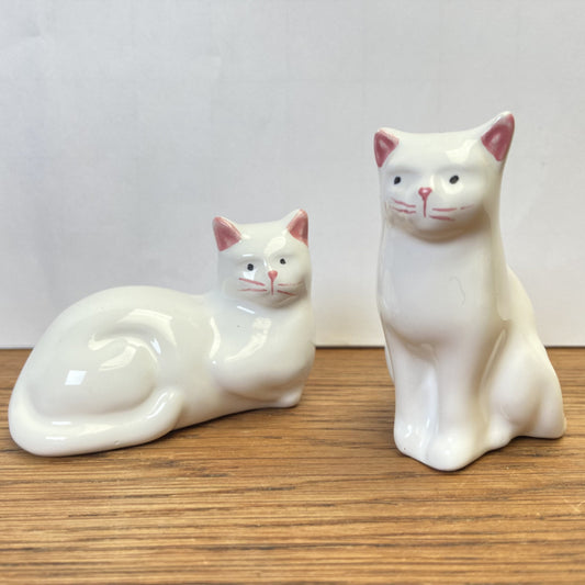 2 witte katten met roze oortjes