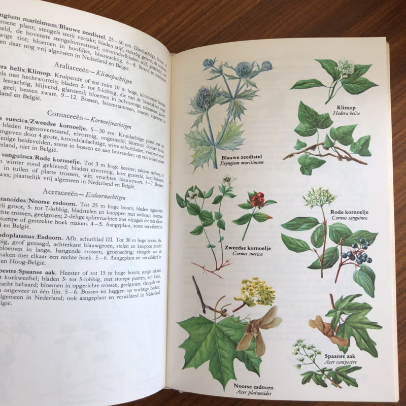 Elseviers plantengids vijfde druk