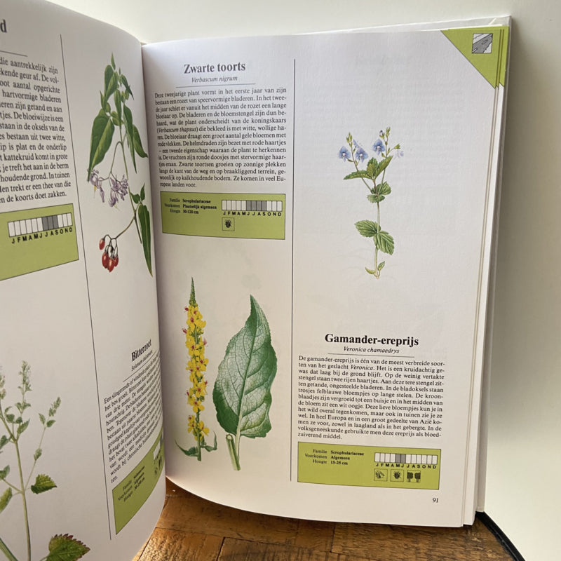 Het boek in kleur over wilde bloemen