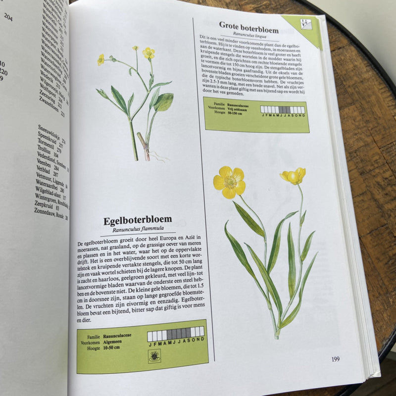 Het boek in kleur over wilde bloemen