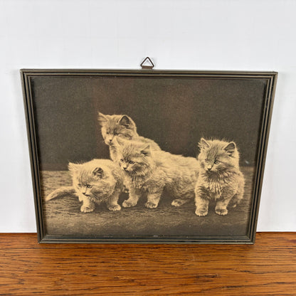 Vintage schilderijtje katten zwart wit
