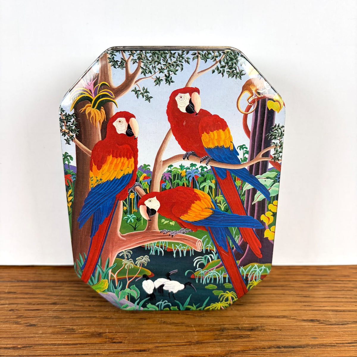 Vintage blikje drie papegaaien jungle