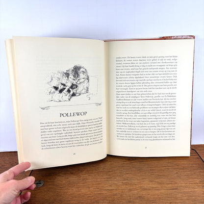 Vintage boek Twee vrouwen over Katten Stellweg & Ronner