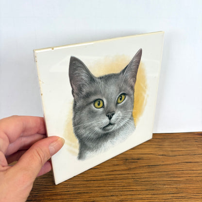 Vintage katten tegel