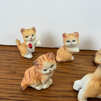 5 kleine katjes