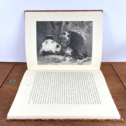 Vintage boek Twee vrouwen over Katten Stellweg & Ronner