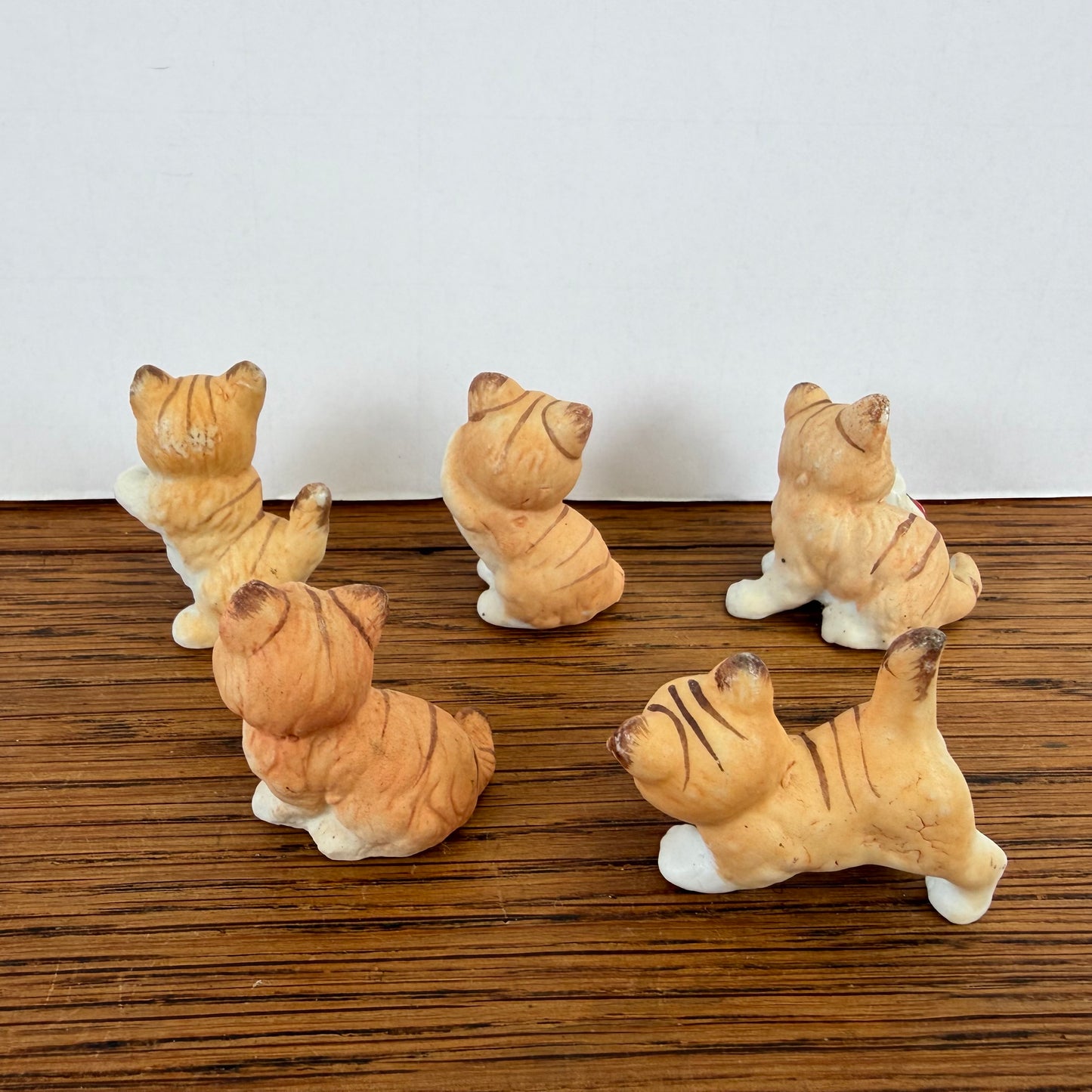 5 kleine katjes