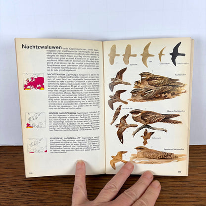 Vintage Elseviers gids van de vogels van Europa 1970