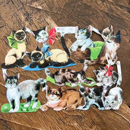Poezieplaatjes katten