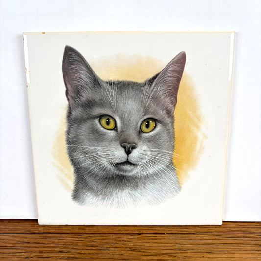 Vintage katten tegel