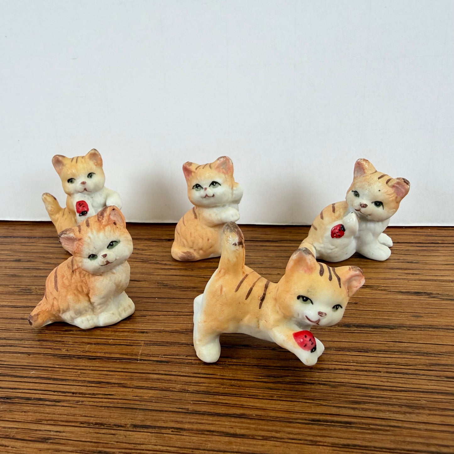 5 kleine katjes