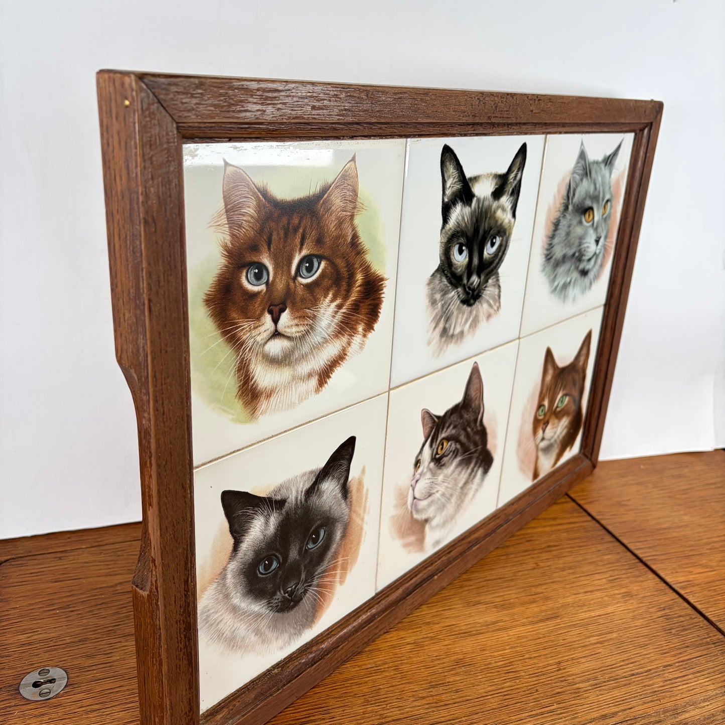 Vintage dienblad katten