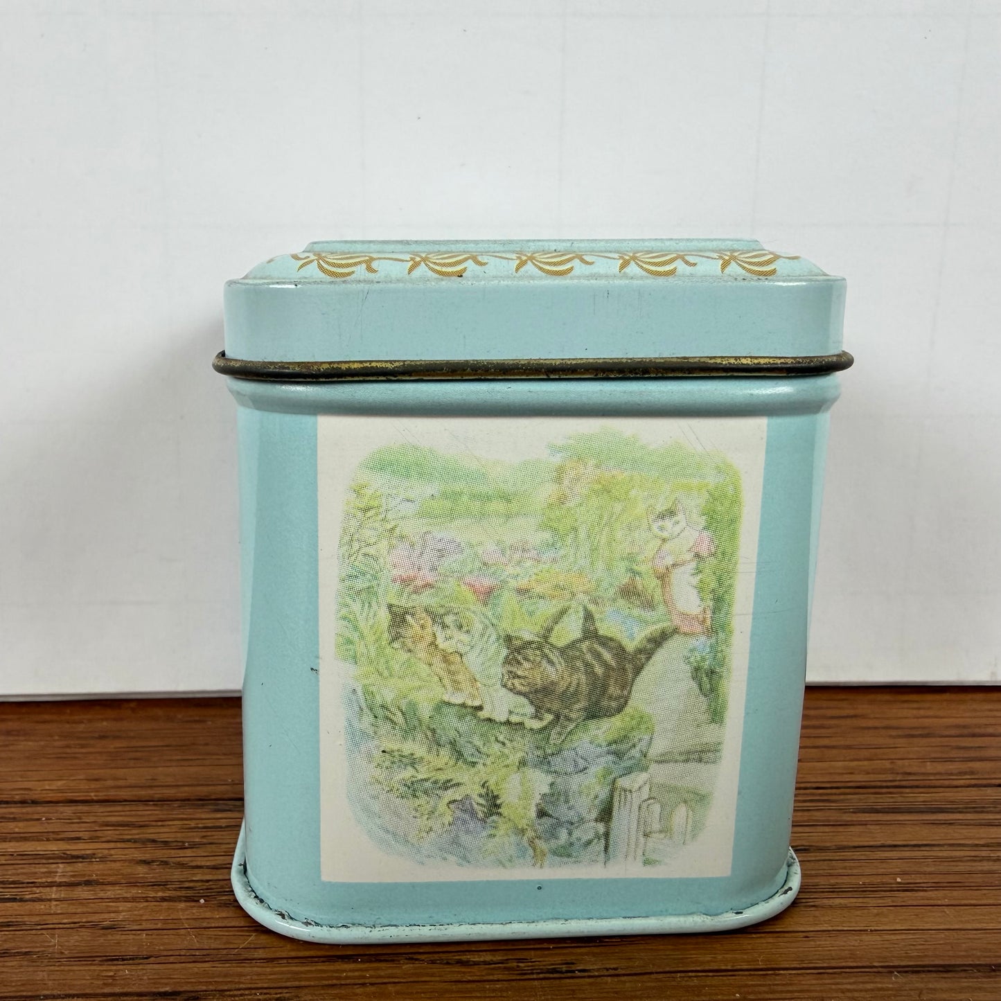 Vintage blikje tom kitten