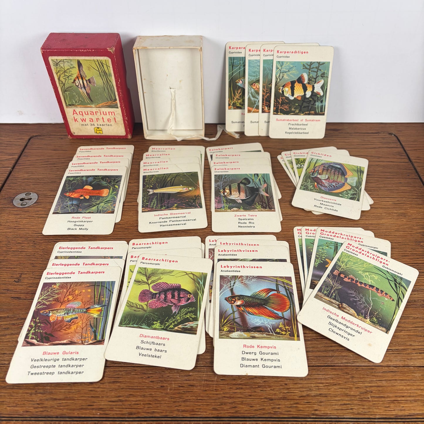 Vintage aquarium kwartet