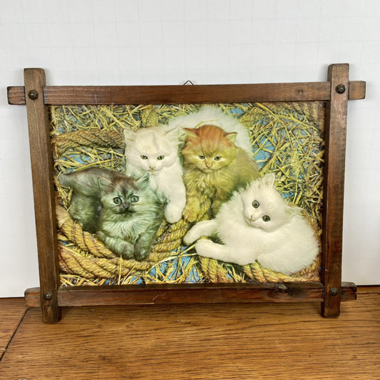 3 D schilderij kat