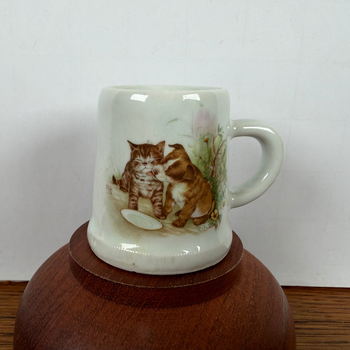 Kleine bierpul hond en kat