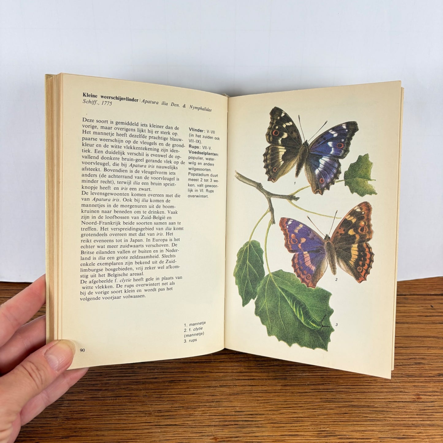Vintage boek Dagvlinders Meulenhoff