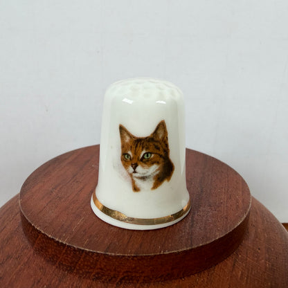 Vingerhoedje kat