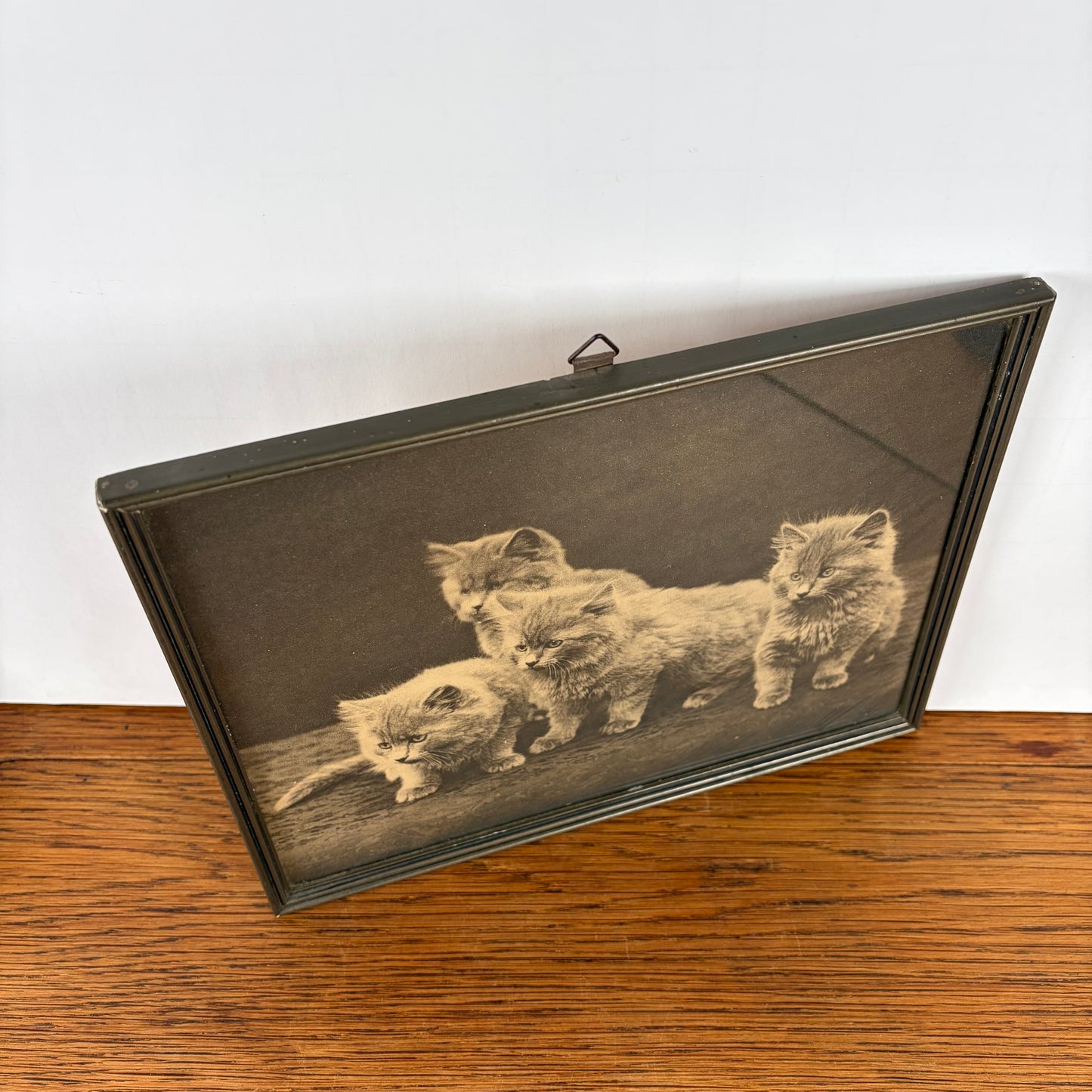Vintage schilderijtje katten zwart wit