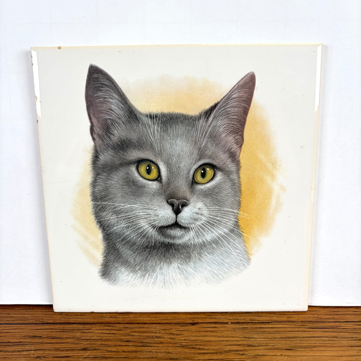Vintage katten tegel