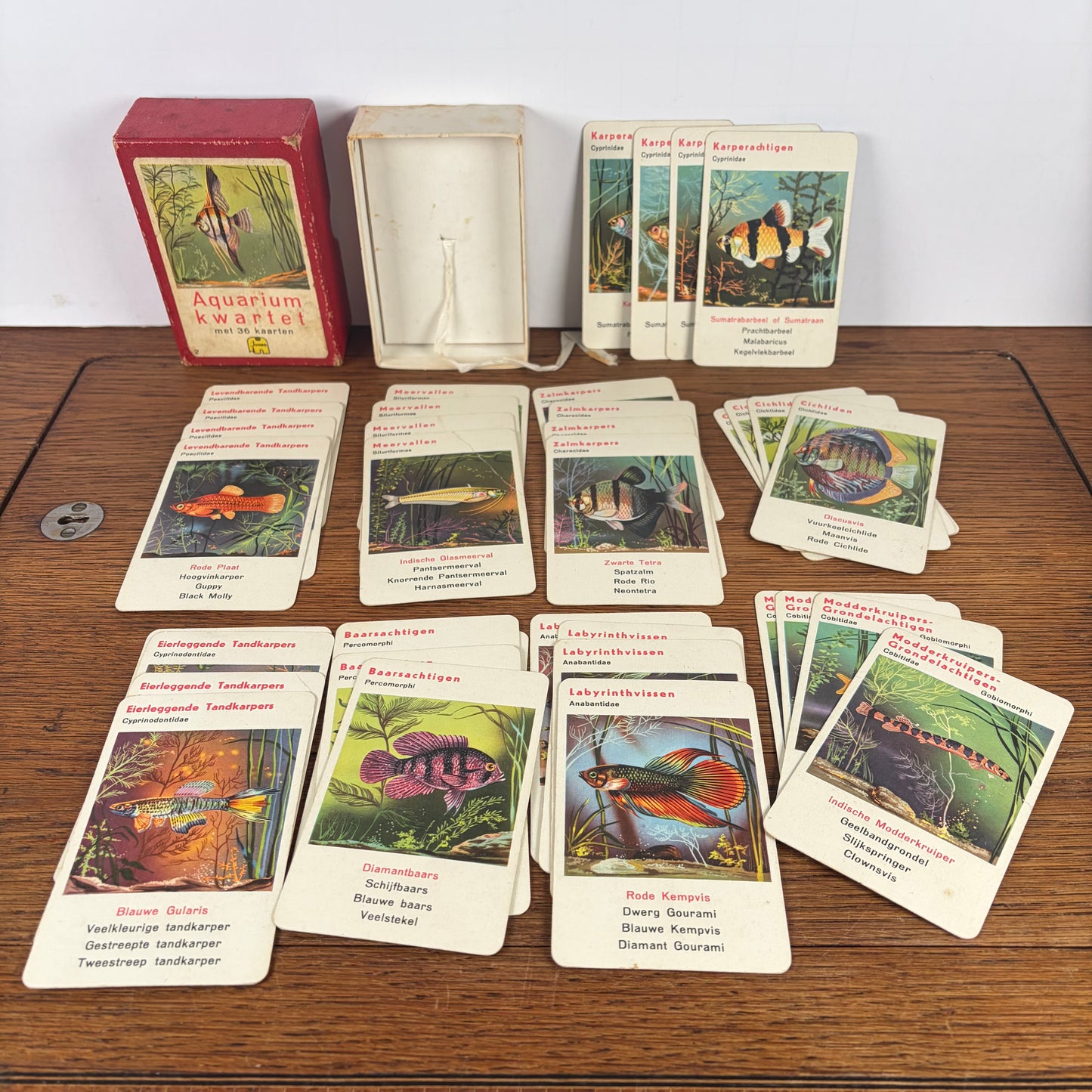 Vintage aquarium kwartet