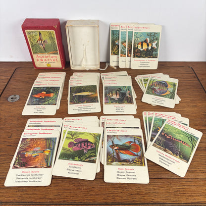 Vintage aquarium kwartet