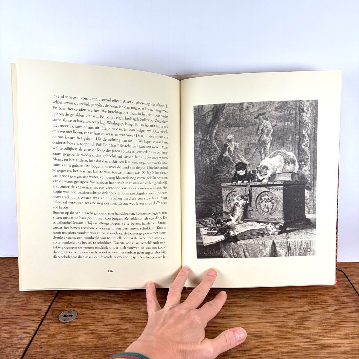 Vintage boek Twee vrouwen over Katten Stellweg & Ronner