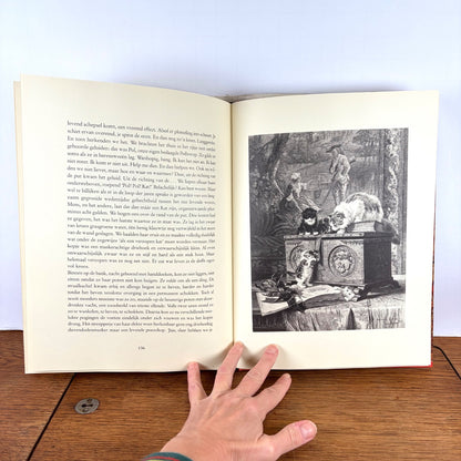 Vintage boek Twee vrouwen over Katten Stellweg & Ronner