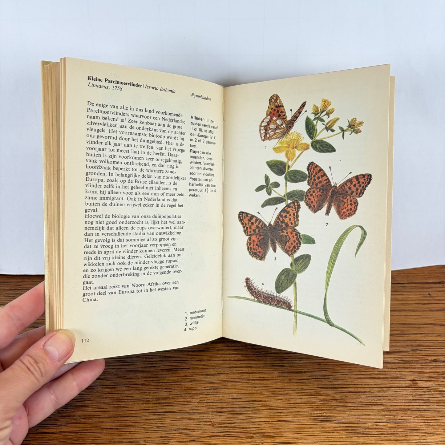 Vintage boek Dagvlinders Meulenhoff